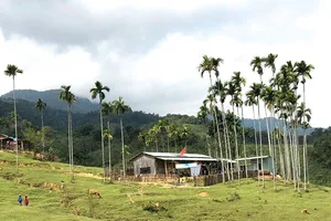 Một ngày trên đỉnh núi thiêng Ngọc Linh