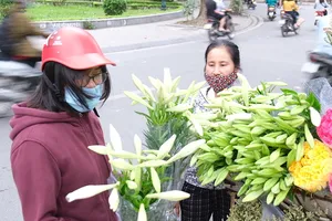 Video: Ngắm hoa tháng Tư trên phố phường Hà Nội