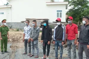 Video: Phát hiện các vụ khai thác, vận chuyển gỗ trái phép 