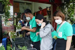 Video: Chợ cây đặc biệt ở TP.HCM, đồng giá chỉ 1.000 đồng