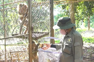 Về Bù Gia Mập nghe chuyện chăm thú hoang dã