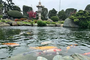 Ngoại ô Sài Gòn: Tưởng không đẹp mà đẹp không tưởng 