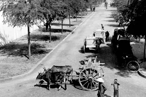 Nét khác biệt của các đô thị Nam bộ 