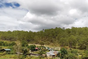 Trầm mặc nơi thâm sơn cùng cốc