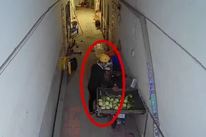 Trộm đột nhập lấy xe máy cùng giỏ rau củ mưu sinh của người phụ nữ