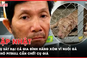 Điểm tin ANTT: Chó Pitbull cắn chết người; Vợ bầu bị chồng bạo hành