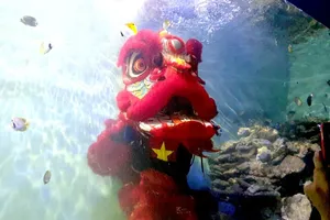 Du khách thích thú lần đầu tiên xem biểu diễn múa lân dưới nước