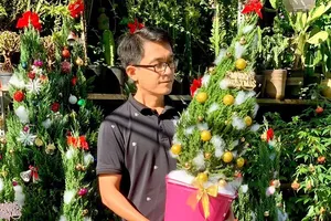 Thông tươi tiền triệu vẫn hút người mua mùa Noel