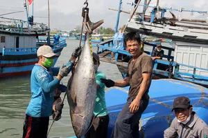 ‘Chạy đua’ gỡ thẻ vàng, giúp ngư dân an tâm vươn khơi