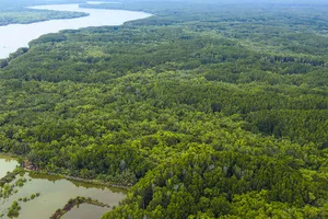 Độc đáo đô thị sinh thái Cần Giờ