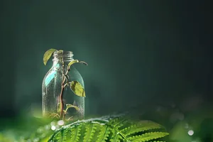 Thông điệp từ 3 món quà Tết