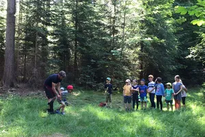 Lớp học trong rừng