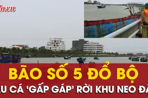 Nhiều tàu cá ở Quảng Trị rời khu neo đậu khi bão số 5 đổ bộ