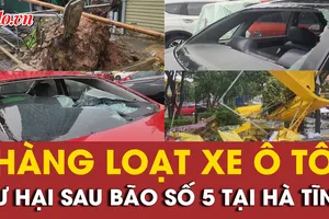 Nhiều ô tô hư hại do bão số 5 gây ra