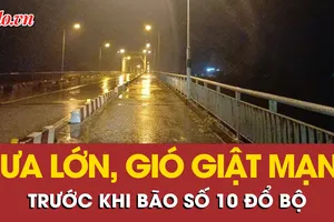 Video: Mưa lớn, gió giật mạnh ở nhiều địa phương trước khi bão số 10 đổ bộ