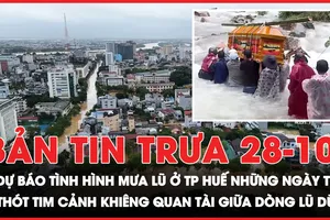 Bản tin trưa 28-10: Dự báo tình hình mưa lũ ở TP Huế những ngày tới; Thót tim cảnh nhóm người khiêng quan tài băng qua dòng lũ dữ