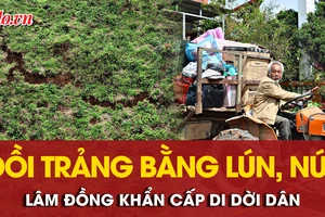 Lâm Đồng: Phát hiện vết nứt lớn trên đồi Trảng Bằng, khẩn cấp di dời dân