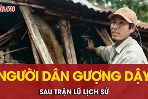 Người dân Phú Yên chật vật dựng lại cuộc sống sau trận lũ lịch sử 