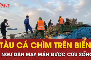 Tàu cá TP.HCM chìm trên biển Quảng Trị, 4 ngư dân may mắn được cứu sống