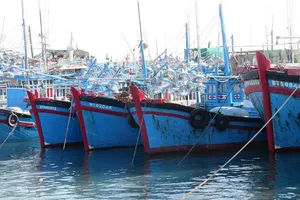 Giấc mơ ra khơi đã thành hiện thực 