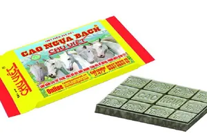 Huyết áp thấp và những điều cần lưu ý