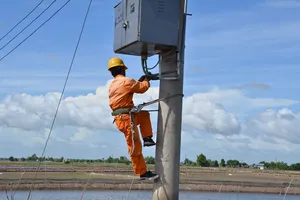 Nỗ lực đáp ứng điện cho nuôi tôm