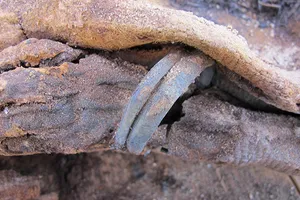 Kỳ bí nghĩa trang hơn một triệu xác ướp tại Ai Cập