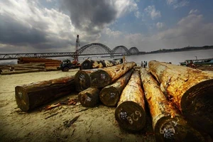 Bắt giữ 102 lâm tặc người Trung Quốc