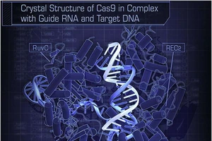 Chấn động: Trung Quốc điều chỉnh được bộ gen phôi thai người
