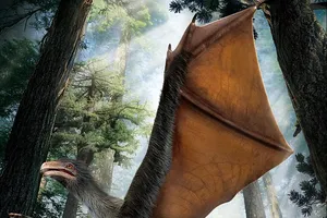 Phát hiện hóa thạch 'khủng long dơi' tại Trung Quốc