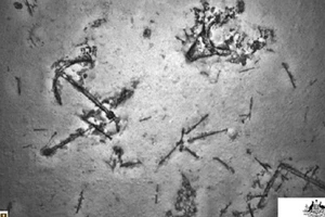 Tìm máy bay MH370, phát hiện xác tàu cổ bị đắm