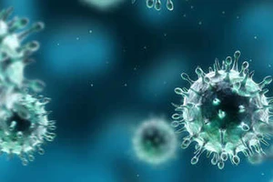 Lầu Năm Góc từng thử nghiệm chiến tranh sinh học trên đất Mỹ