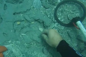 Phát hiện kho báu trong xác tàu Tây Ban Nha 300 tuổi