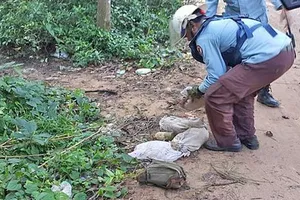 Campuchia phát hiện 'mìn' trước cửa đền Angkor