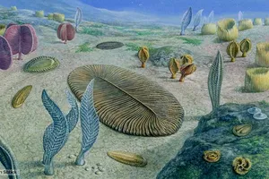 Hé lộ nguyên nhân thật cuộc ‘đại diệt chủng’ đầu tiên trong lịch sử