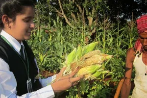 Google vinh danh bé gái 13 tuổi sáng chế máy lọc nước từ lõi ngô