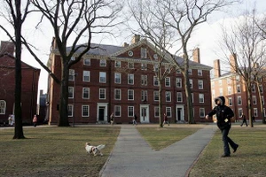 Sơ tán Trường ĐH Harvard vì cảnh báo khủng bố