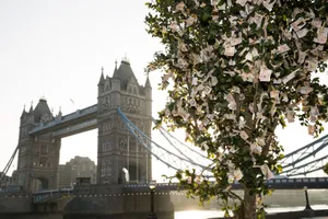 Vì sao cây xanh ở London trị giá đến 204.000 tỉ đồng?