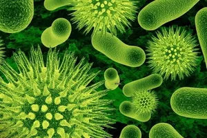 Thái Lan cách ly 32 người nghi nhiễm dịch cúm Trung Đông chết người