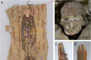 Phát hiện thỏi son làm từ tim động vật 3.600 năm tuổi 