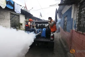 Indonesia khuyến cáo người dân không đến 8 nước nhiễm Zika
