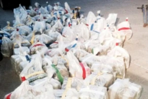 Triệt phá đường hầm buôn má túy xuyên biên giới dài kỷ lục