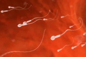 Tây Ban Nha tạo được tinh trùng từ tế bào da người