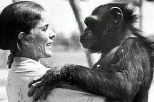 Xúc động khi tinh tinh 25 năm vẫn nhớ ơn ân nhân cứu mạng