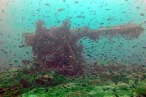 Phát hiện xác chiến hạm Nhật đến VN bị đắm năm 1944 