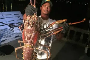 Bắt được 'lão' tôm hùm khổng lồ, to bằng nửa thân người