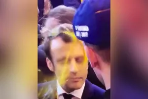 Ứng viên tổng thống Pháp bị ném trứng vào mặt