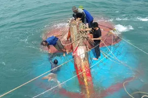 Va vào đá ngầm, tàu cá chở 12 ngư dân chìm trên biển
