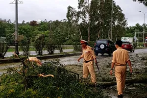 CSGT Quảng Nam dọn dẹp cây ngã do bão số 5