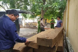 Tháo hết ghế trên xe khách để chở gỗ lậu